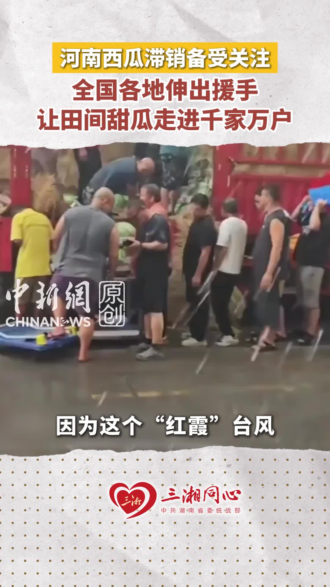 河南西瓜滞销备受关注，全国各地伸出援手，让田间甜瓜走进千家万户