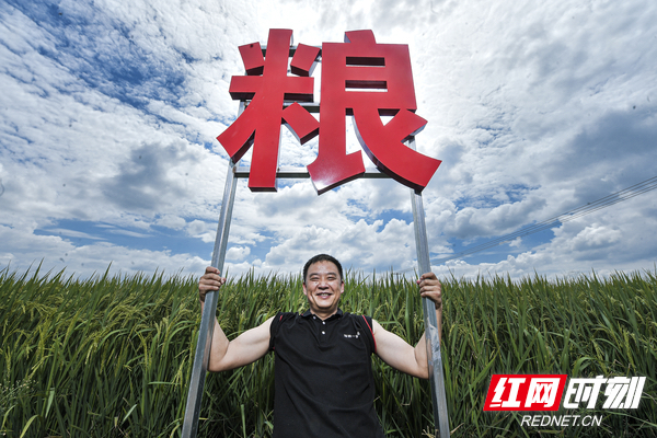 统战人·同心力｜邓述东：从1到5 在希望的田野上蹚出新“稻”路