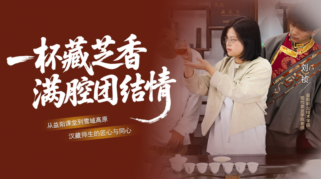 统战人·同心力｜一杯“藏芝香” 藏着团结与创新的故事