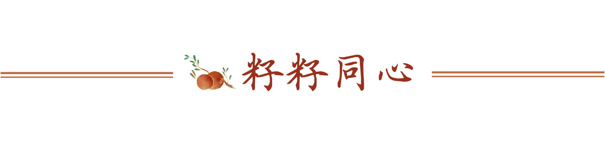 籽籽同心