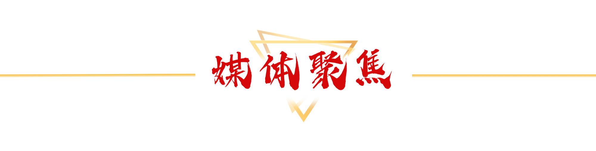 媒体聚焦