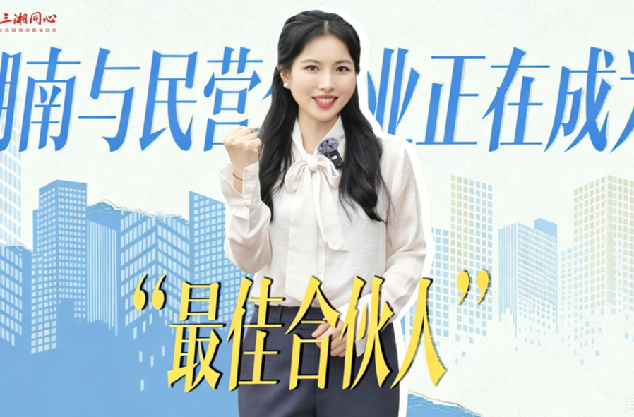 湖南与民营企业，正在成为“最佳合伙人”|跃升之路②