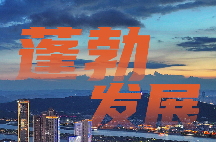 厚植沃土，万木争荣——湖南民营经济“十四五”回眸与“十五五”展望|跃升之路①