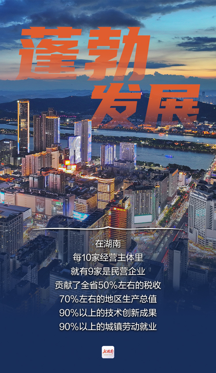向新向上！看湖南民营经济澎湃新动力丨跃升之路③