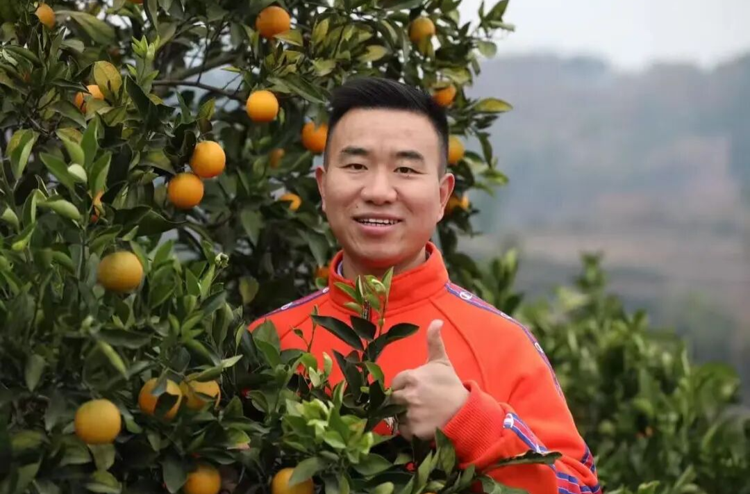 走！回村搞事业去