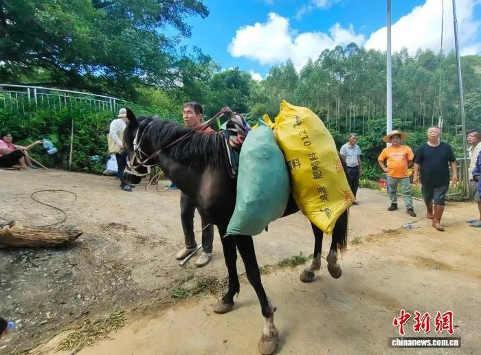 车开不进的灾区里，来了从新疆赶来的马队