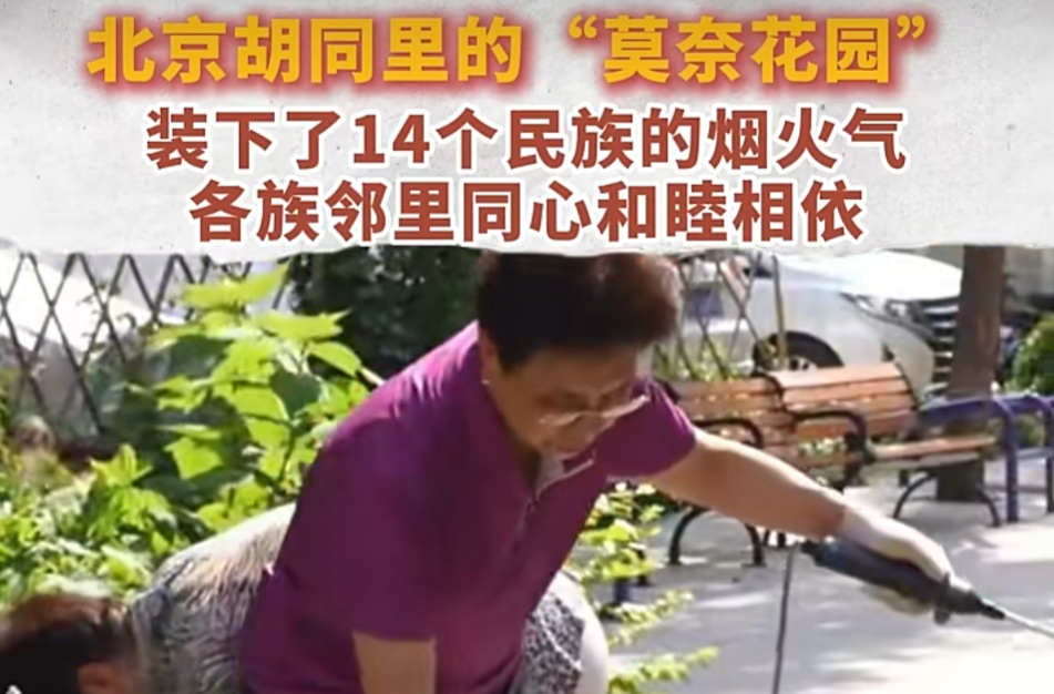 北京胡同里的“莫奈花园”，装下了14个民族的烟火气，各族邻里同心和睦相依