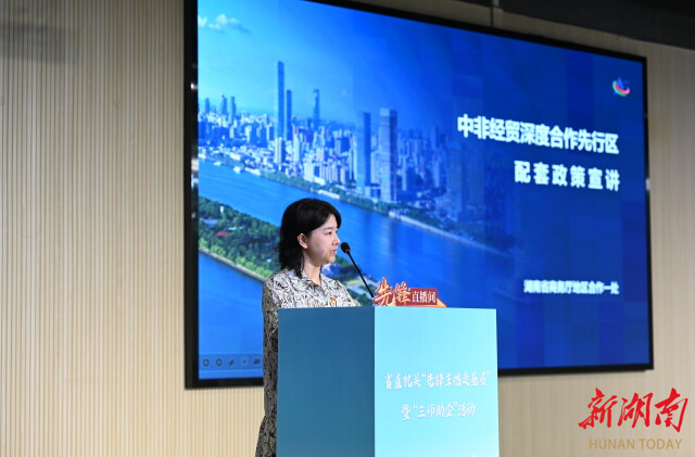 党建赋能湘企出海 “三师”助企扬帆非洲