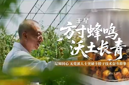 无党派人士突破“卡脖子”技术，方寸蜂鸣，沃土长青
