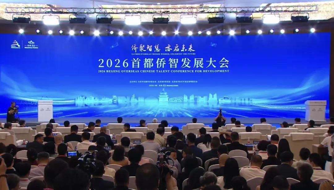 侨智聚力拓新路，探寻中外产业合作新机遇