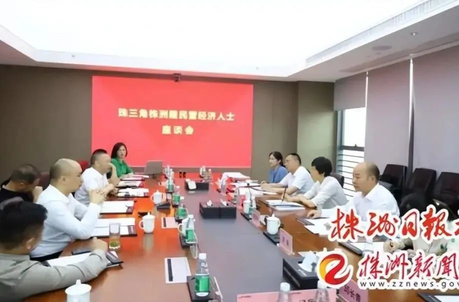 稳增长 促发展 强信心丨在外株洲籍民营企业家加速回归，为了啥