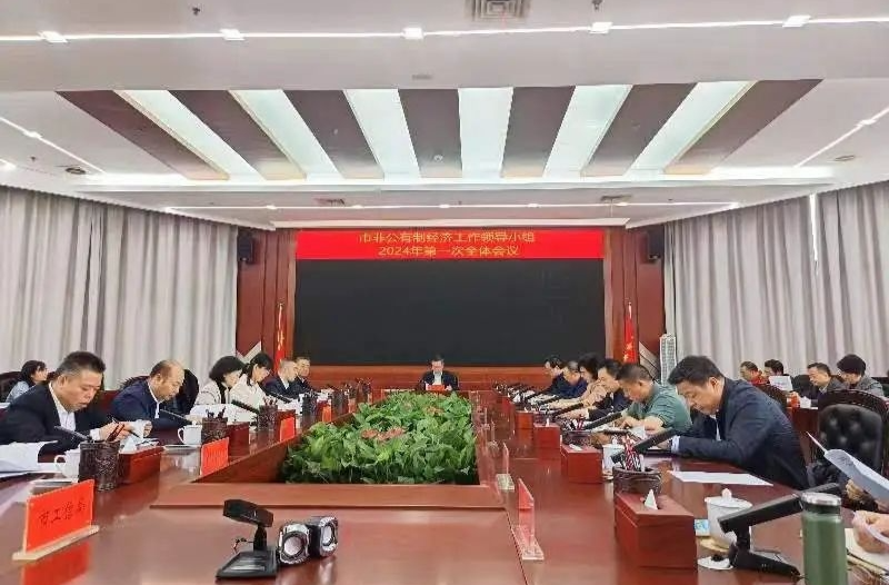 株洲市非公有制经济工作领导小组2024年第一次全体会议召开