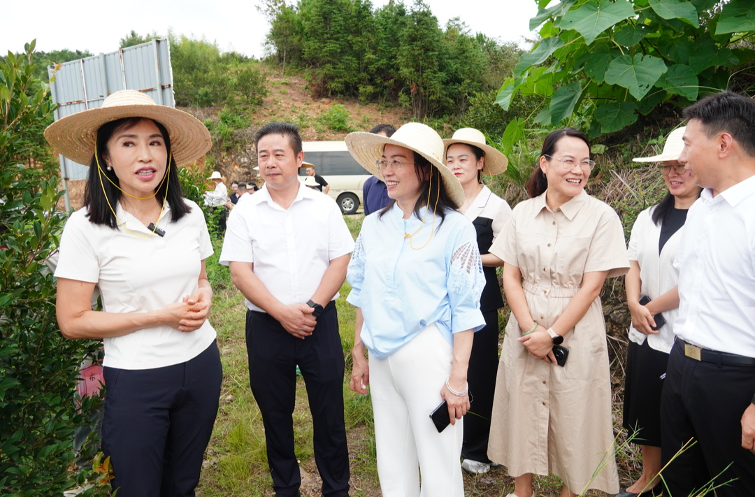 汇聚光彩力量 赋能乡村振兴—— “光彩事业祁东行”活动圆满举行
