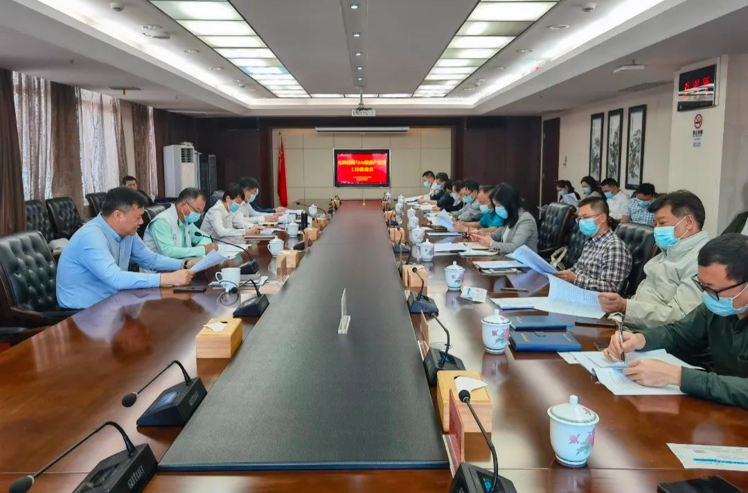 罗琼集中调研生物医药与大健康产业 部署推进产业链工作