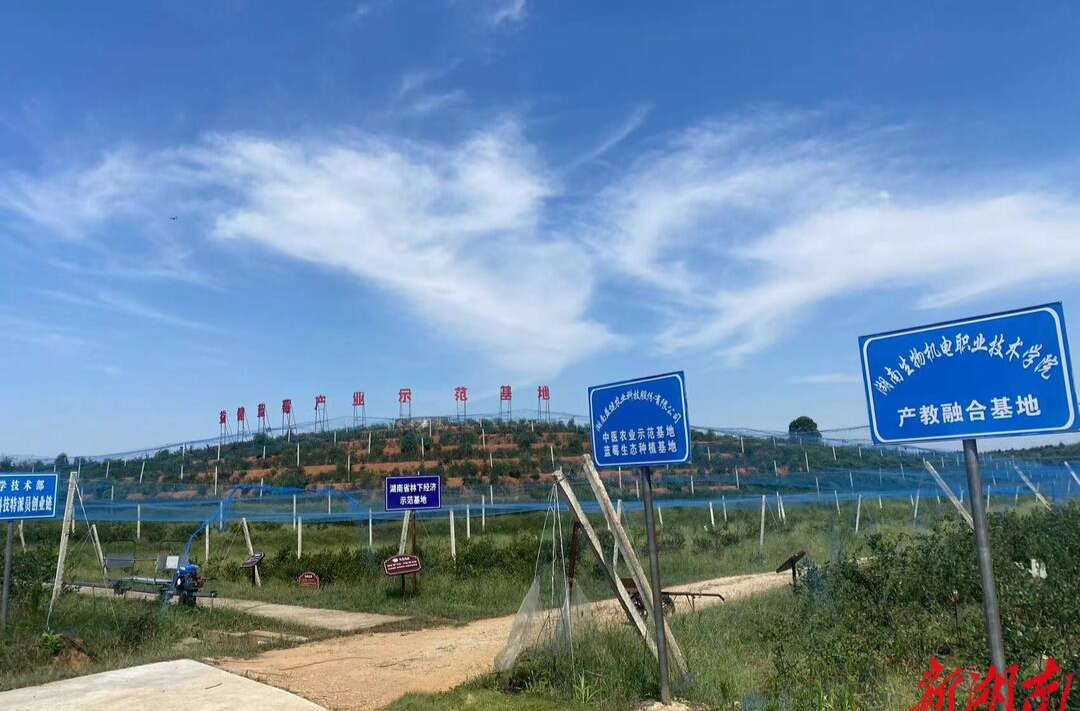 “巴陵统战Young”，青春不一样