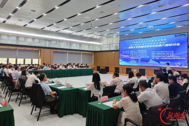 湖南大学民建经贸研究院第六届研讨会召开：聚力加快补齐生产性服务业短板