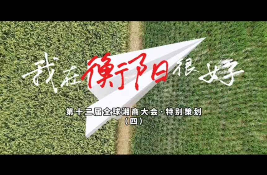 第十二届全球湘商大会特别策划：我在衡阳很好④