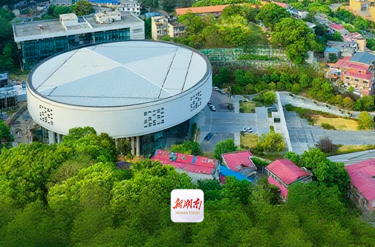 科技奋楫，同心聚智 | 跃升之路④