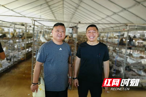 文雷村支书蒋阳秋（左一）走访永珍鸽业养殖基地.marked.png