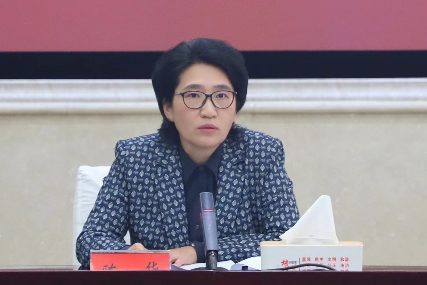 常德市委副书记、市委统战部部长陈华讲话.jpg