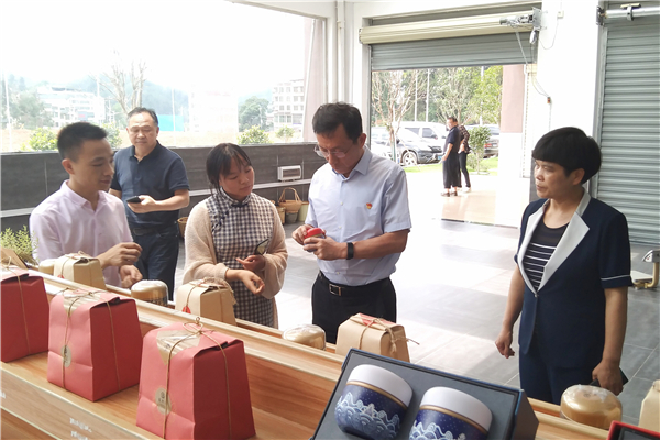 欧阳锋赴桂东县调研乡村振兴1_副本.jpg