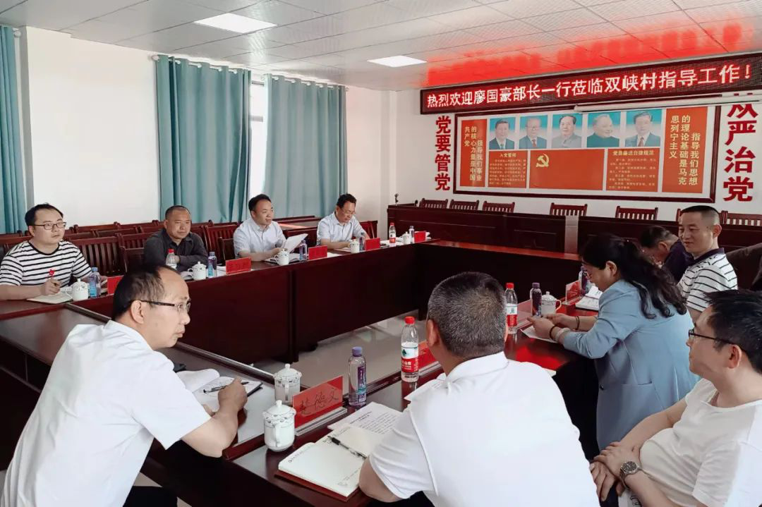 廖国豪赴永定区调研集体经济示范村建设.png