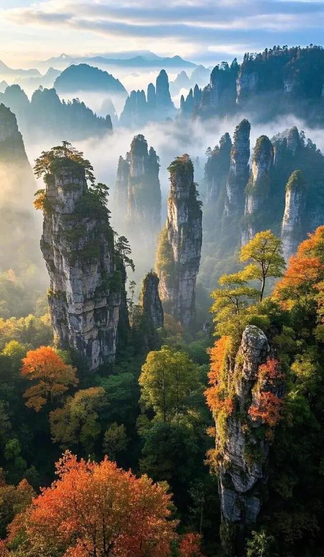 图片 图片