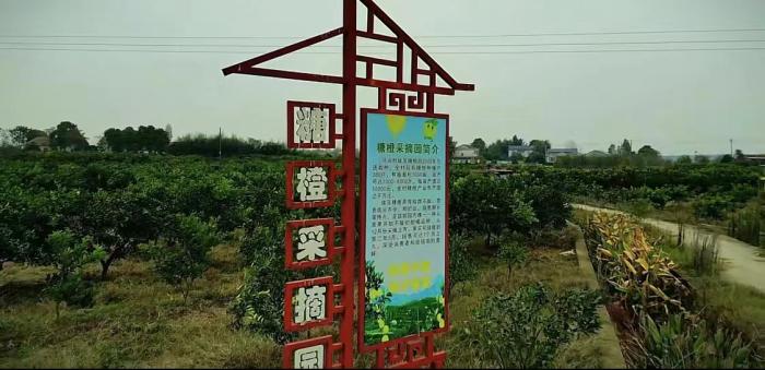 图片2.jpeg