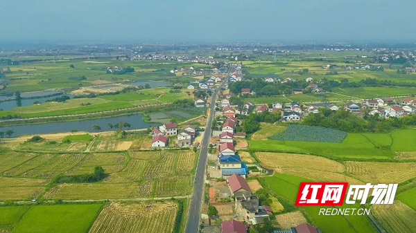 ▲湖南农村公路在全国率先实现由“村村通”变为“组组通”。.png ▲湖南农村公路在全国率先实现由“村村通”变为“组组通”。.png