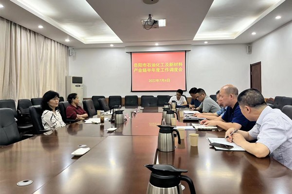 邱虹主持召开石油化工及新材料产业链半年度工作调度会1.jpg