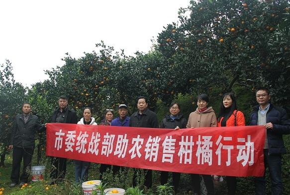 360截图20201217164916713.jpg 360截图20201217164916713.jpg