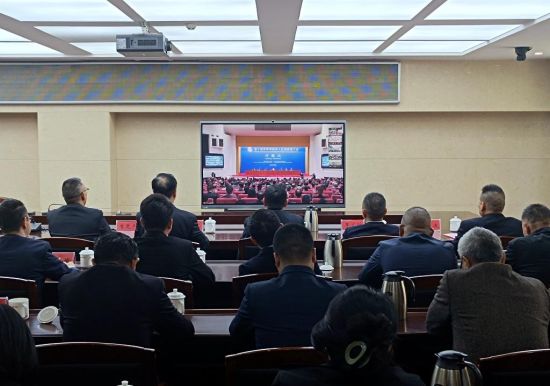 湖南籍侨胞代表线上参会。