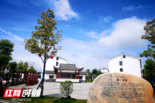 356254da-0a41-4a7c-bf37-95a46056f0fc.png