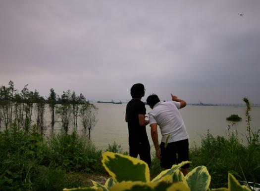 360截图20200717151622064.jpg