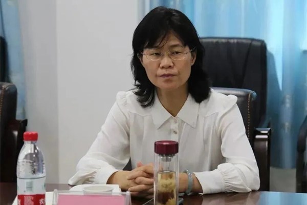 邱虹带队赴临湘市走访调研民营企业2.jpg