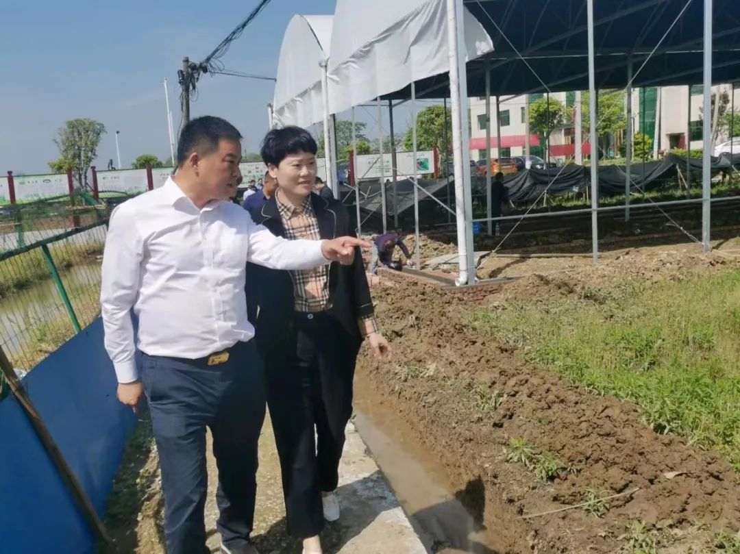 湘潭2.jpg