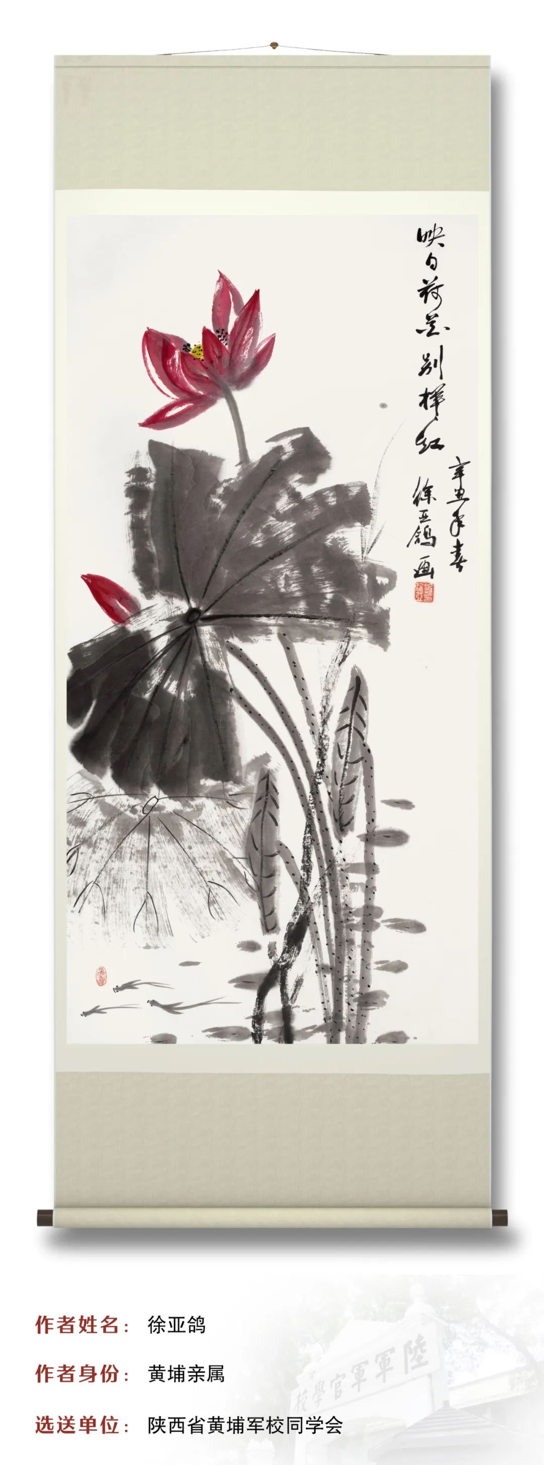 图片 图片